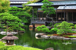 Thiết kế không gian xanh với sân vườn phong cách Nhật Bản